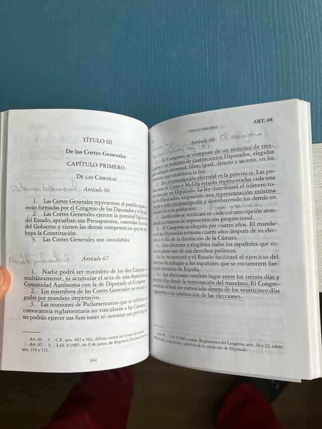 Constitución Española (Spanish Edition)