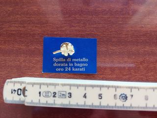 Spilla in oro