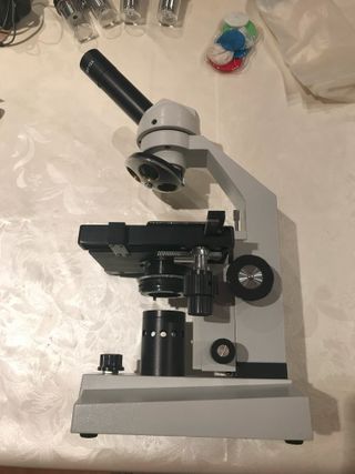 microscopio