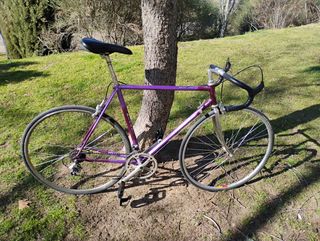 Bicicleta Biondi carretera-urbana