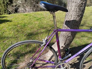 Bicicleta Biondi carretera-urbana