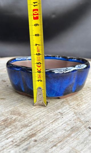 MACETA BONSAI MAME FLOR LOTO JAPONESA AZUL