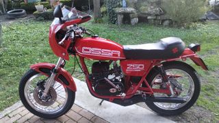 Ossa copa