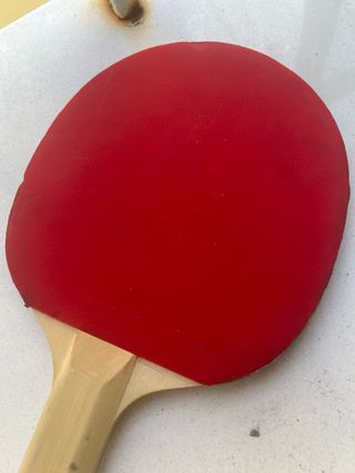 Pala Ping Pong