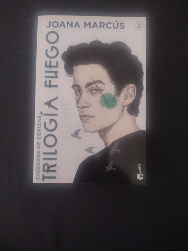 Trilogía Fuego 2. Ciudades de cenizas