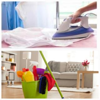 Planchado y limpieza 631956487