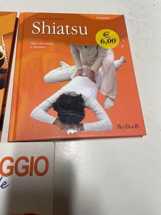 Massaggio zonale. Mappe zonali riflessi