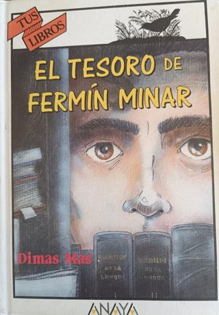 El tesoro de Fermín Minar