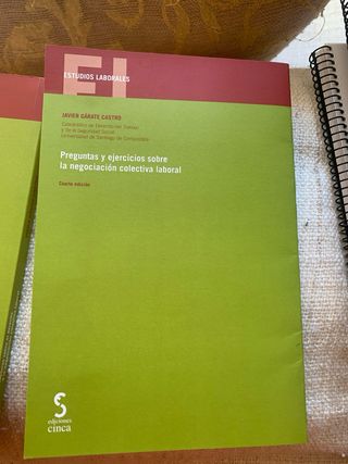 Javier Garate Castro Negociación Colectiva Laboral