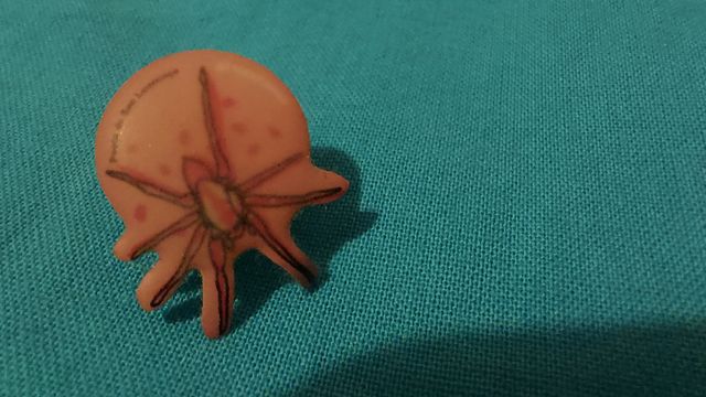 pin aranha