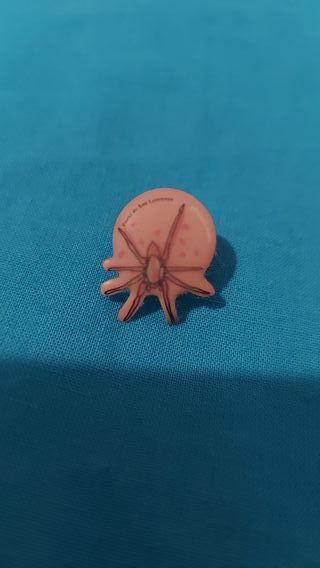pin aranha