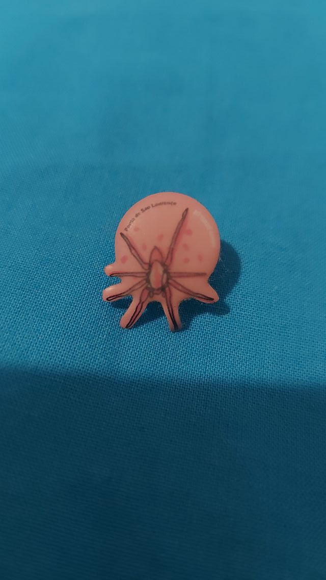 pin aranha