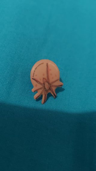 pin aranha