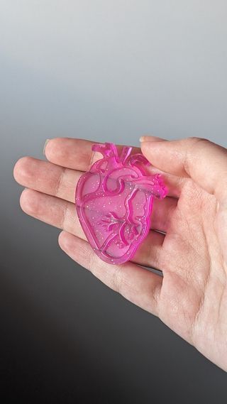 Corazón anatómico 