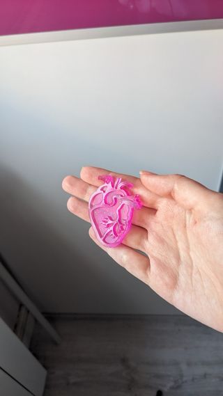 Corazón anatómico 