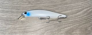 Jerkbait pesca lucio y black bass