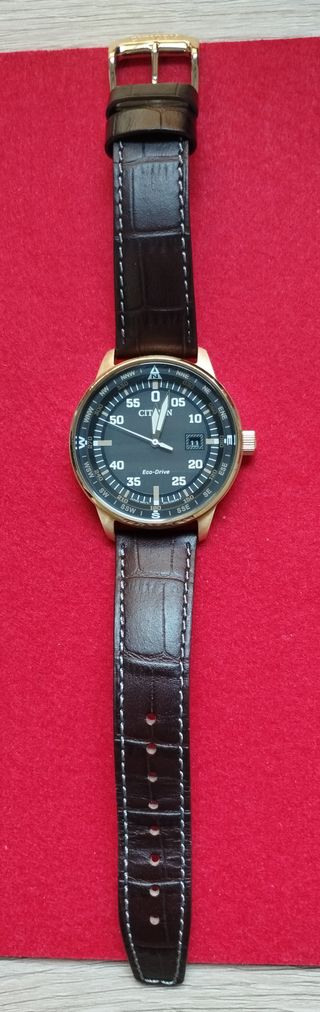 Reloj Citizen Aviator BM7393-16H