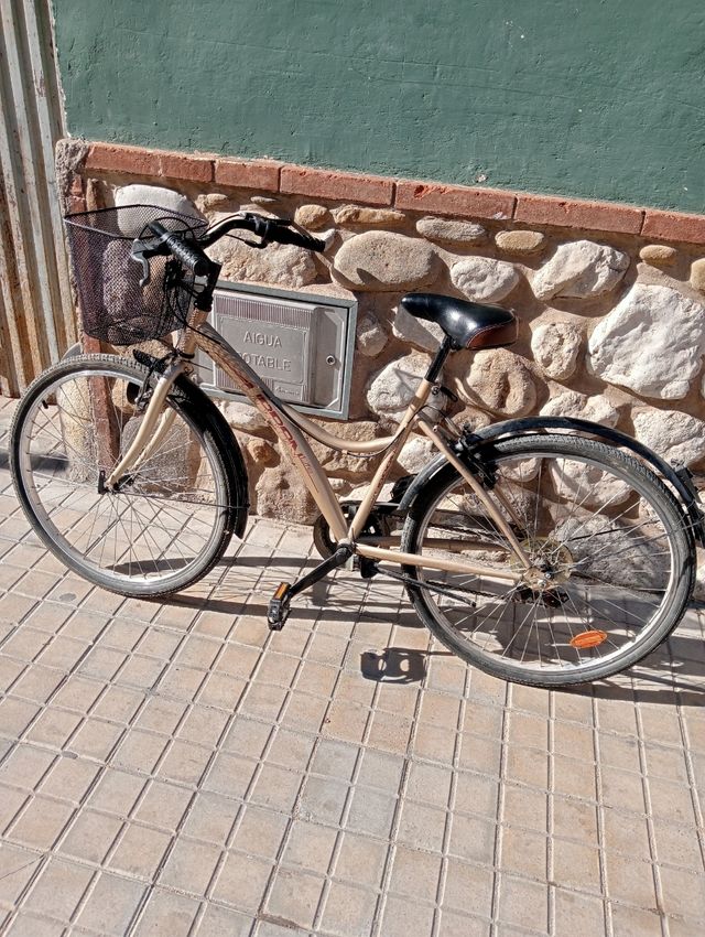 Bicicleta de paseo