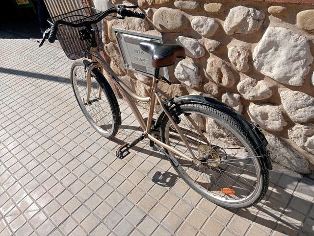 Bicicleta de paseo