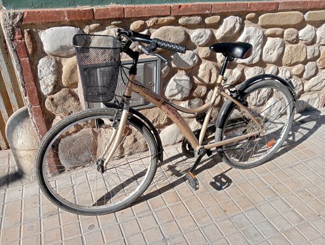 Bicicleta de paseo