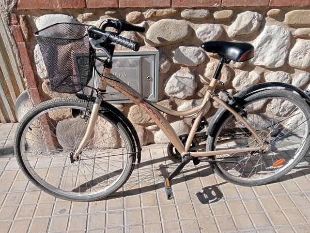 Bicicleta de paseo