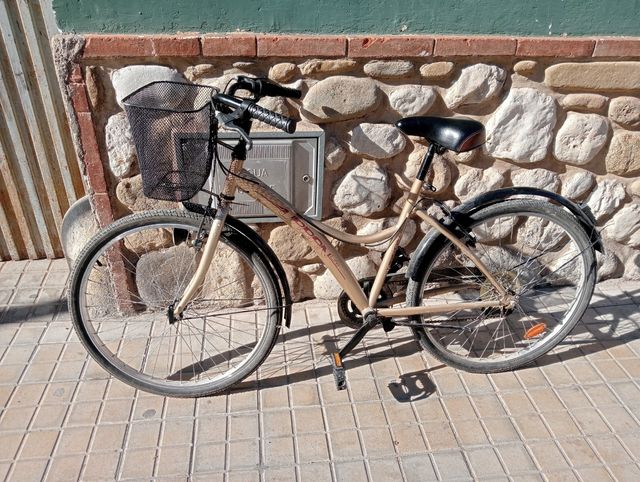 Bicicleta de paseo