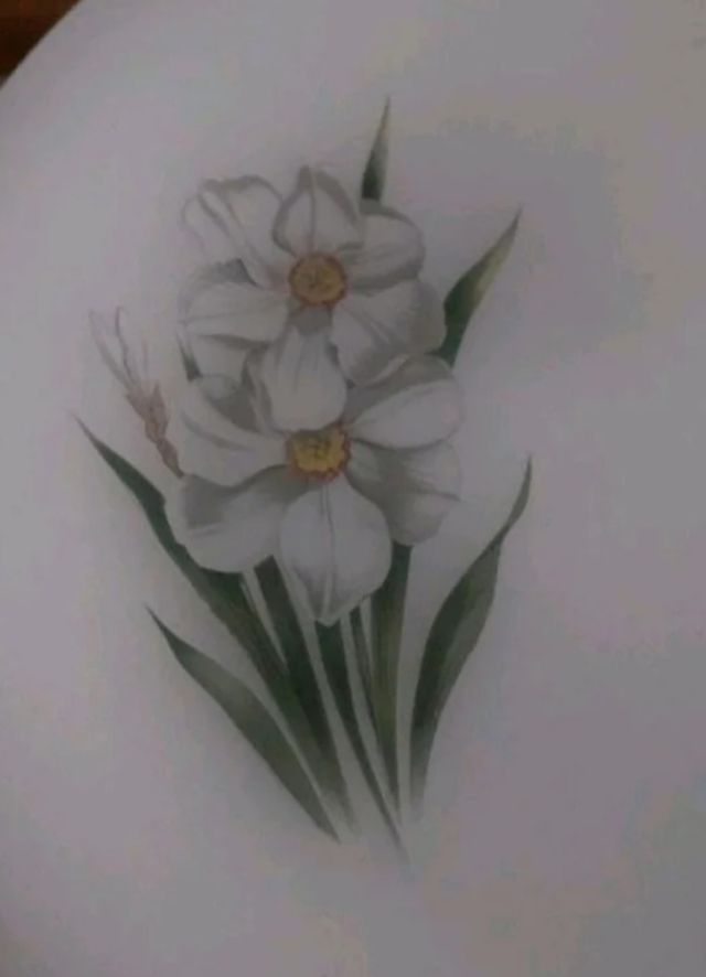 17 Platos arcopal flor blanca 