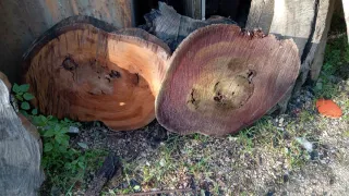 Tagliere legno ulivo