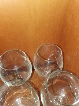 Antichi Bicchieri da cognac Napoleon