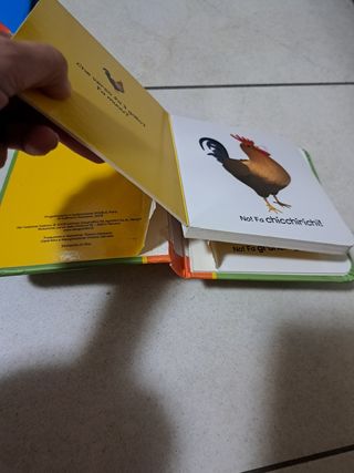 Vai macchinina!