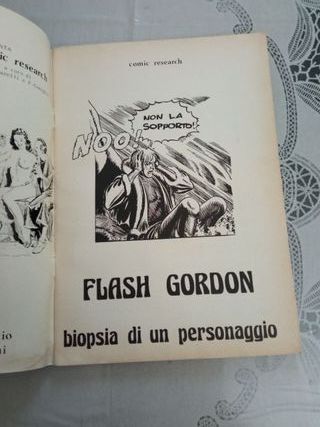 FLASH GORDON Comic Research 1977