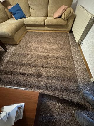 Alfombra peluda comedor