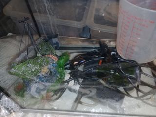 PECERA Y ACCESORIOS