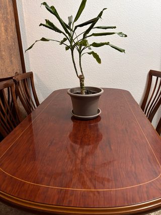 Mesa madera maciza y 6 sillas