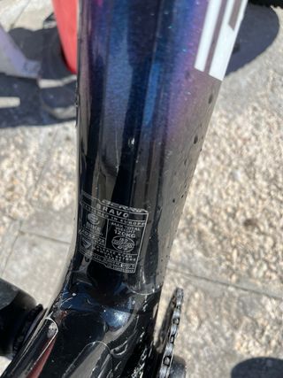 Berria bravo  carbono 2023