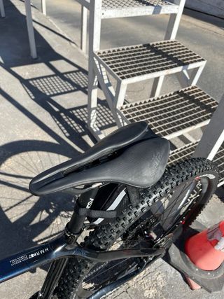 Berria bravo  carbono 2023