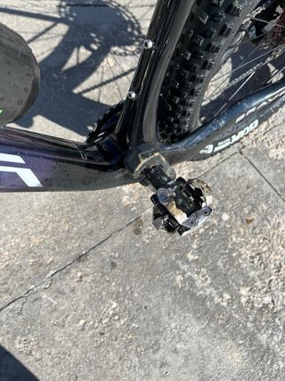 Berria bravo  carbono 2023