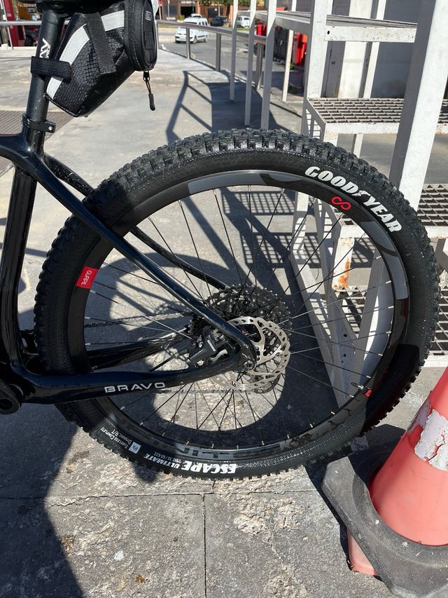 Berria bravo carbono 2023