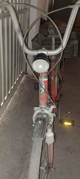 Bicicleta de paseo vintage