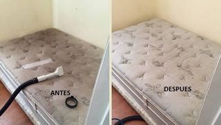 Limpieza de sofas