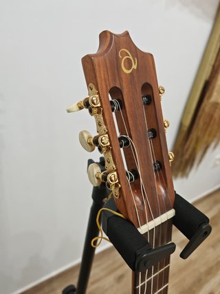 GUITARRA LUTHIER PAUFERRO