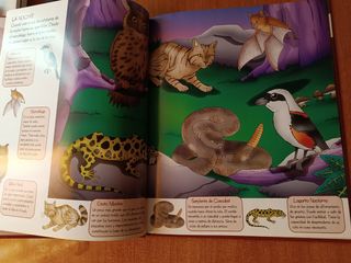 El mundo de los animales del bosque