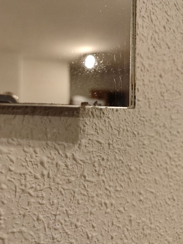 Espejo de pared o de tocador