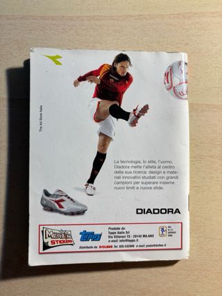 Album calcio merlin 2006