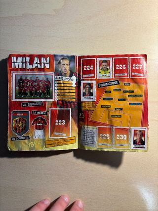 Album calcio merlin 2008