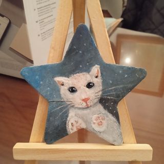 Imanes gato