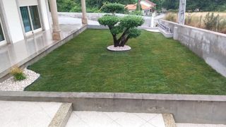 Limpieza de parcelas