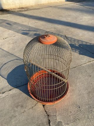 Jaula loro agaporni pajaro