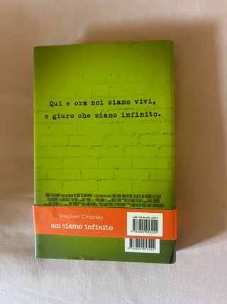 Noi siamo infinito. Ragazzo da parete