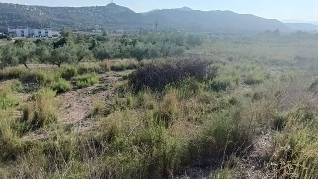 Parcela en Pedreguer 